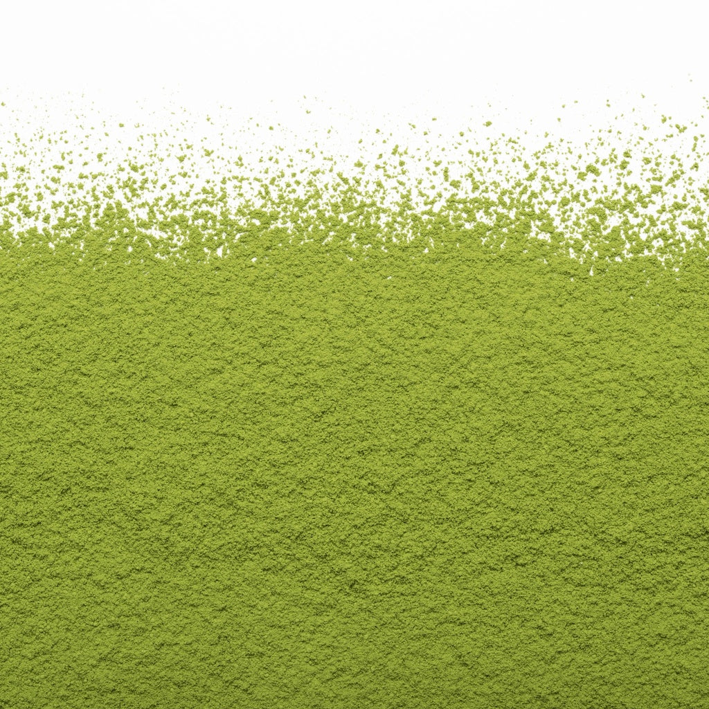 Matcha Camellia