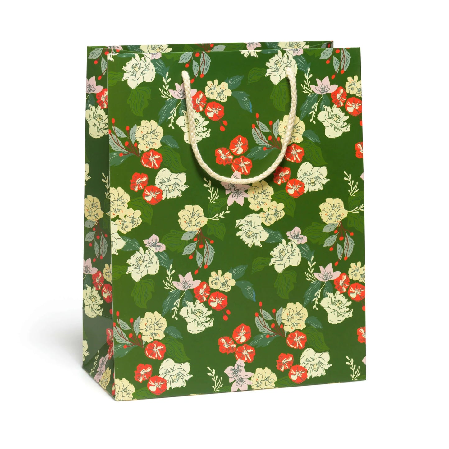 Large Gift Bag