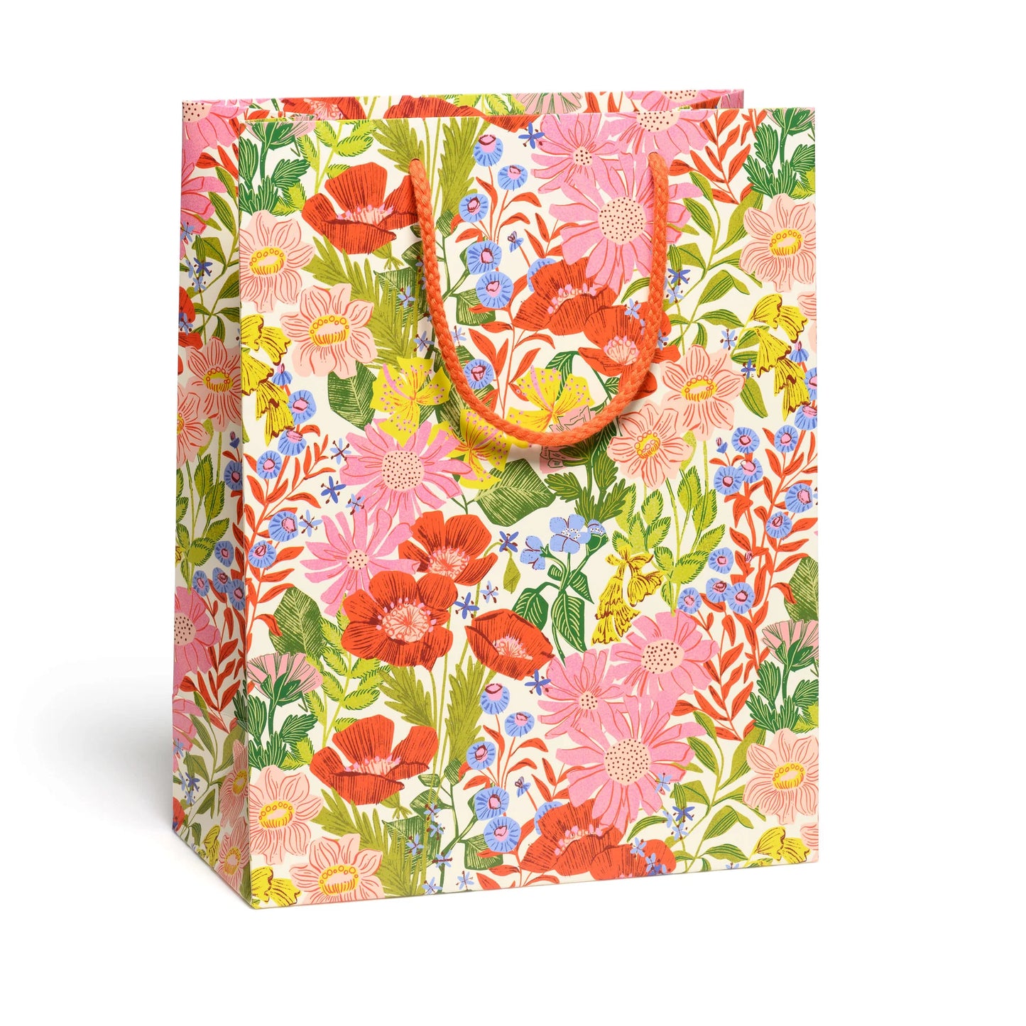 Large Gift Bag