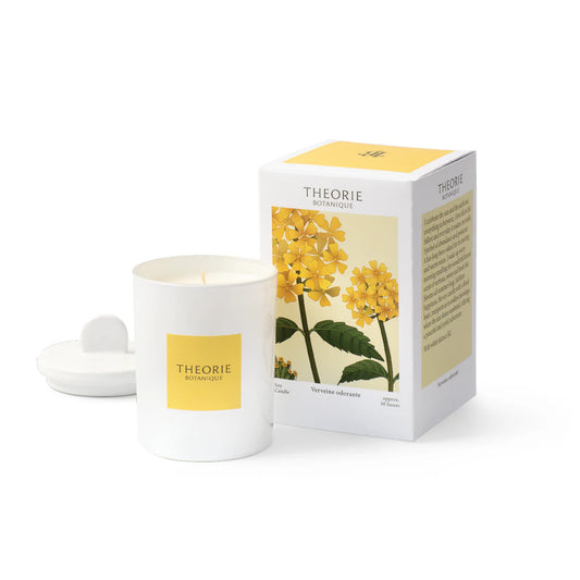 Theorie Candle