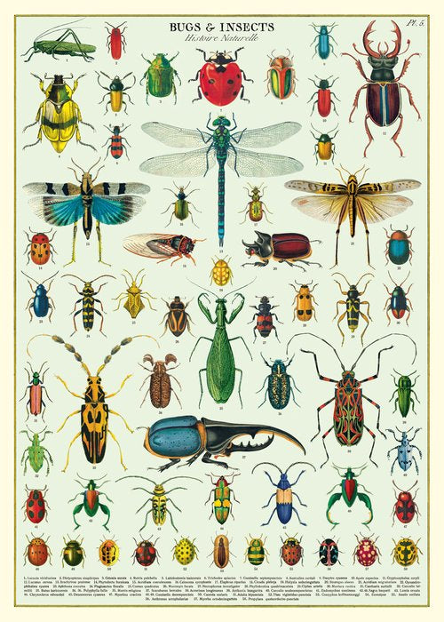 Cavallini Wrap & Poster Sheets