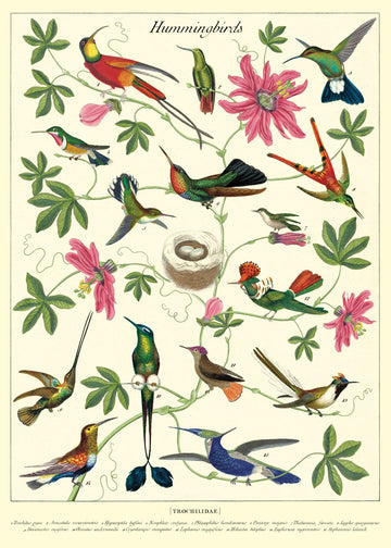 Cavallini Wrap & Poster Sheets