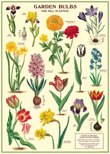 Cavallini Wrap & Poster Sheets