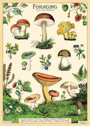 Cavallini Wrap & Poster Sheets