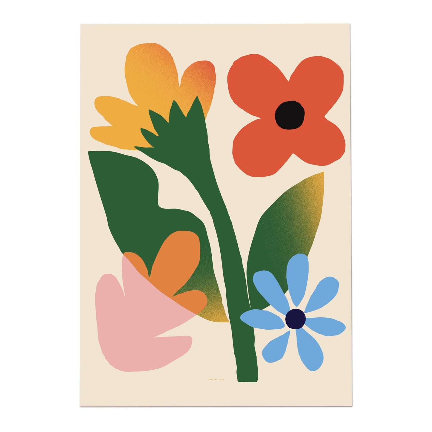 Baltic Club Art Print