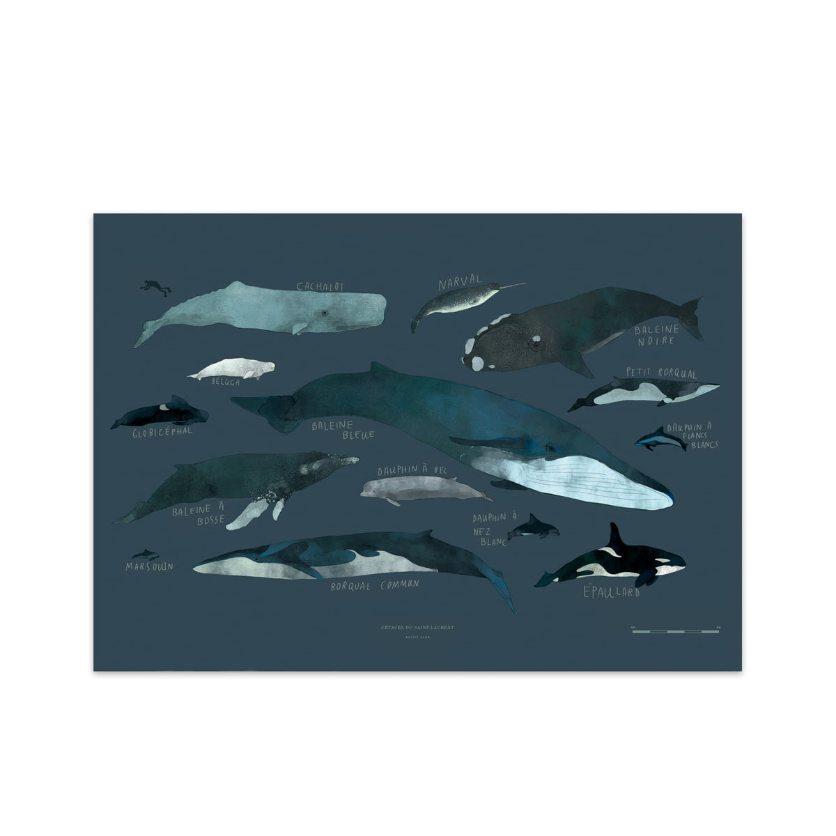 Baltic Club Art Print