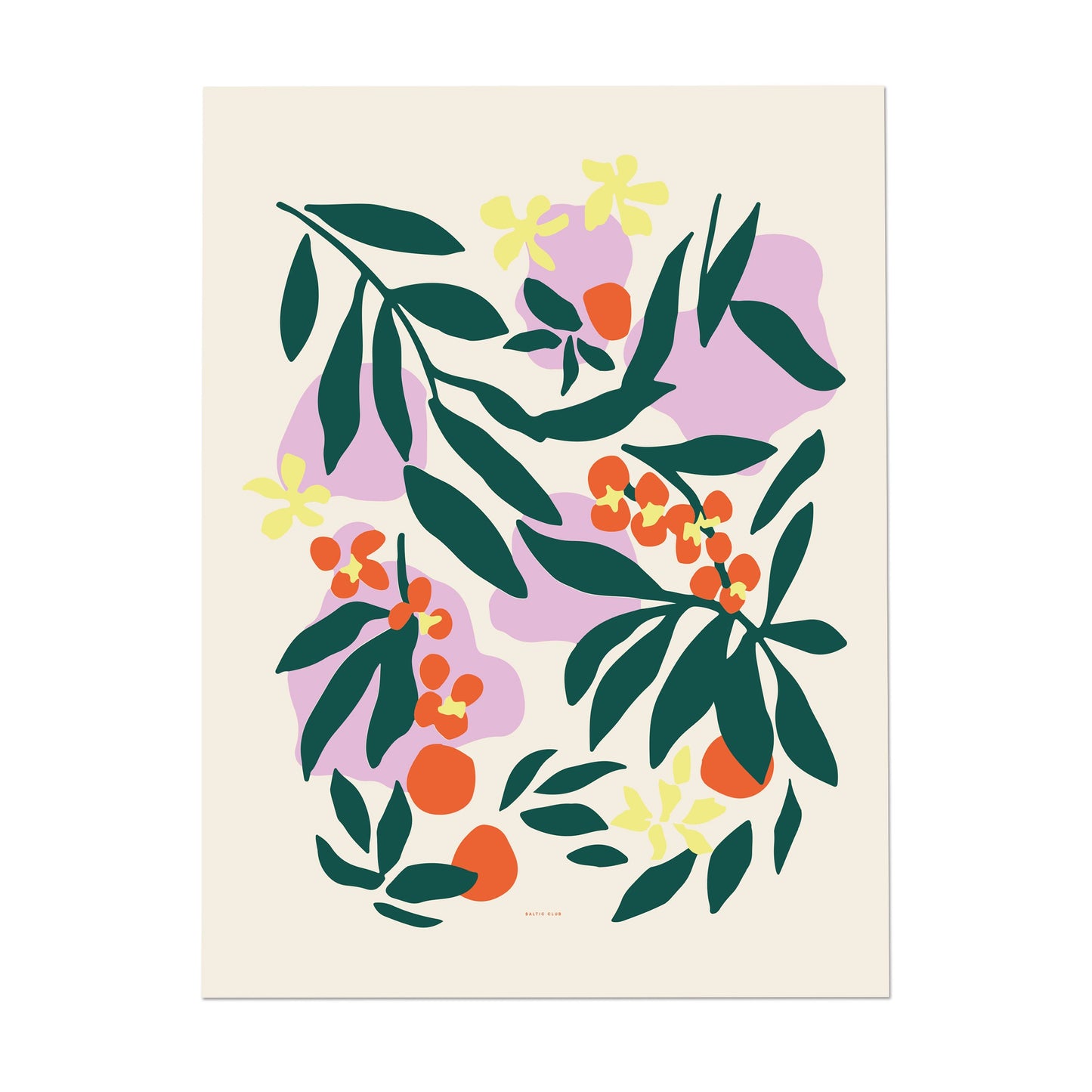 Baltic Club Art Print