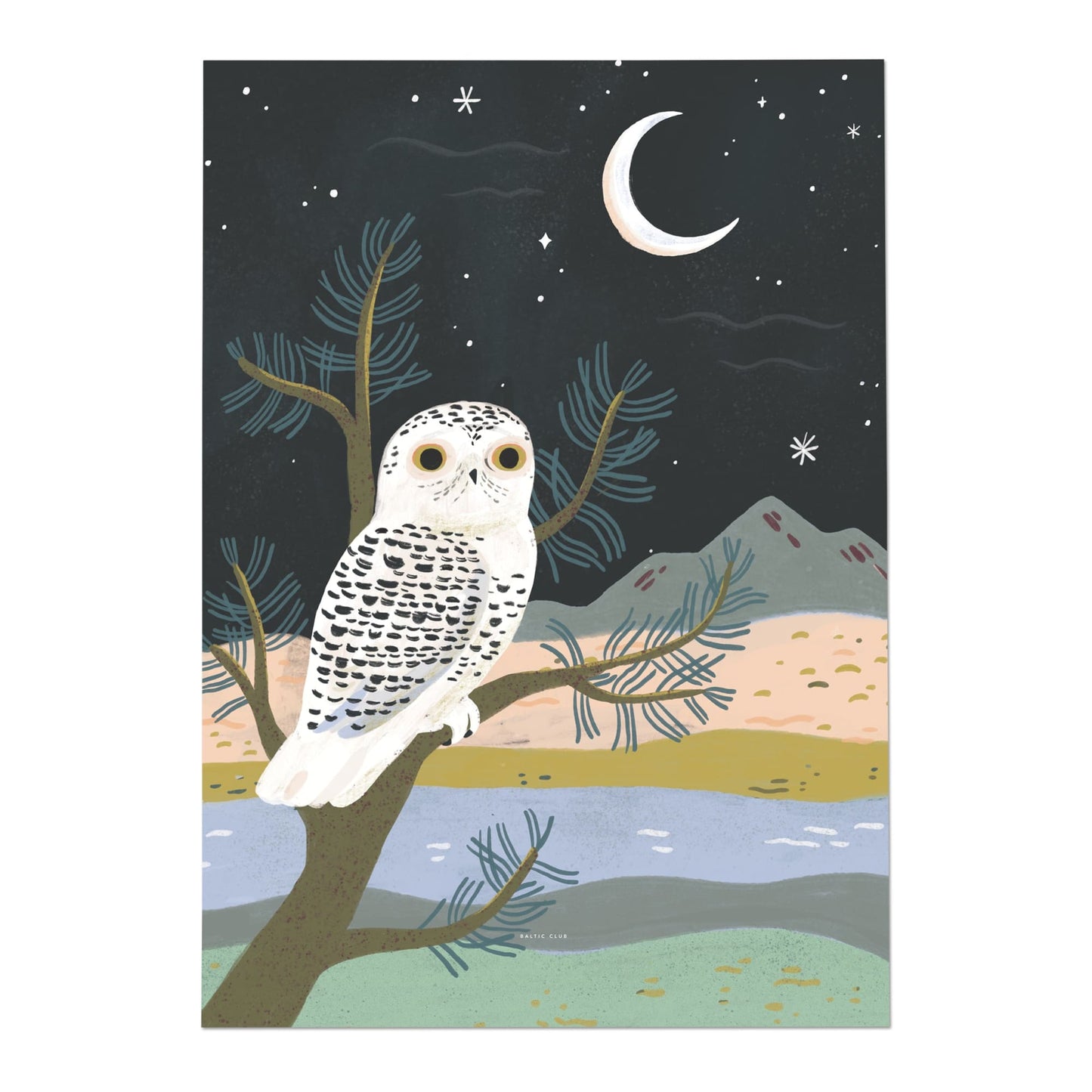 Baltic Club Art Print