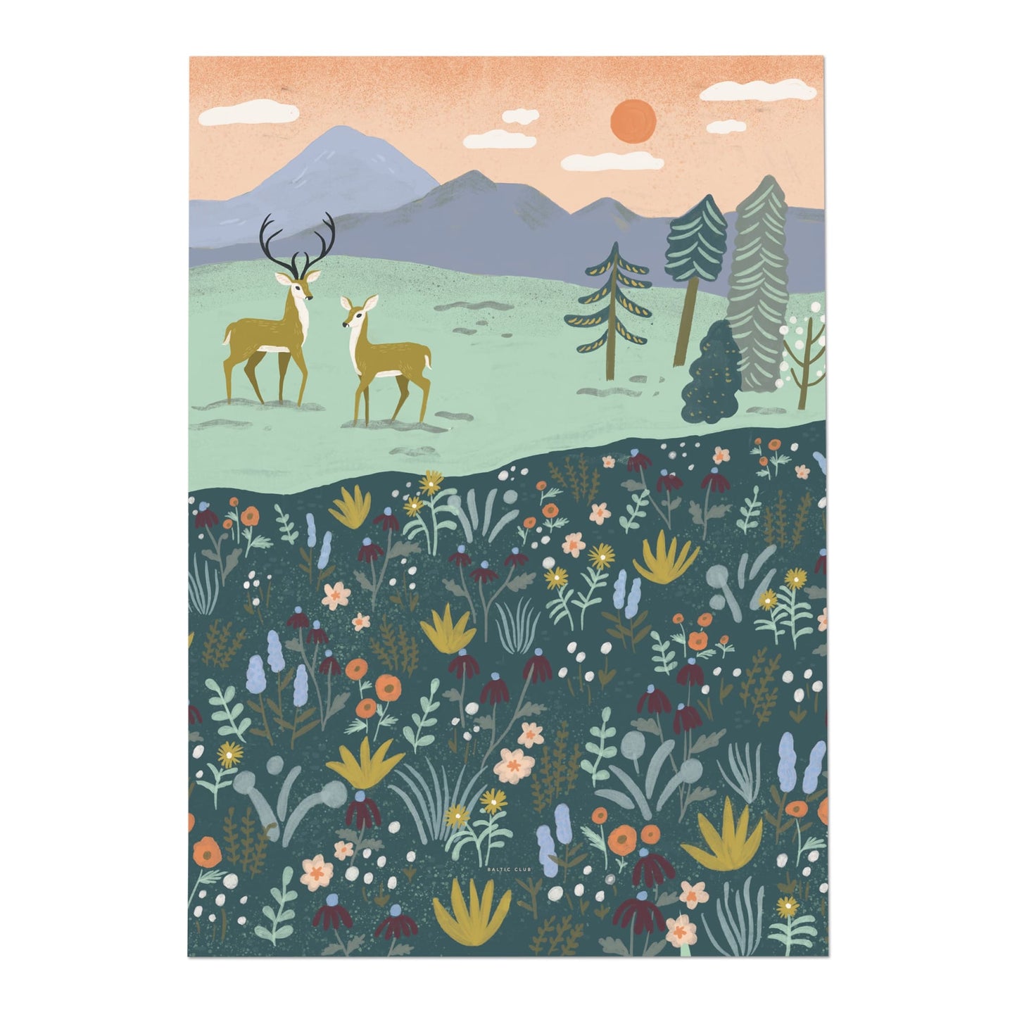 Baltic Club Art Print