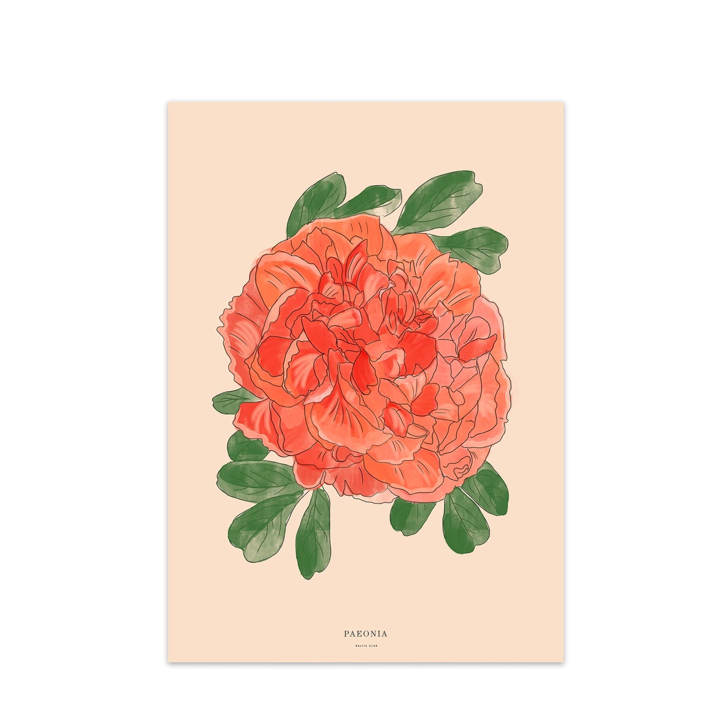 Baltic Club Art Print