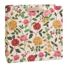 Rifle Paper Gift Bag