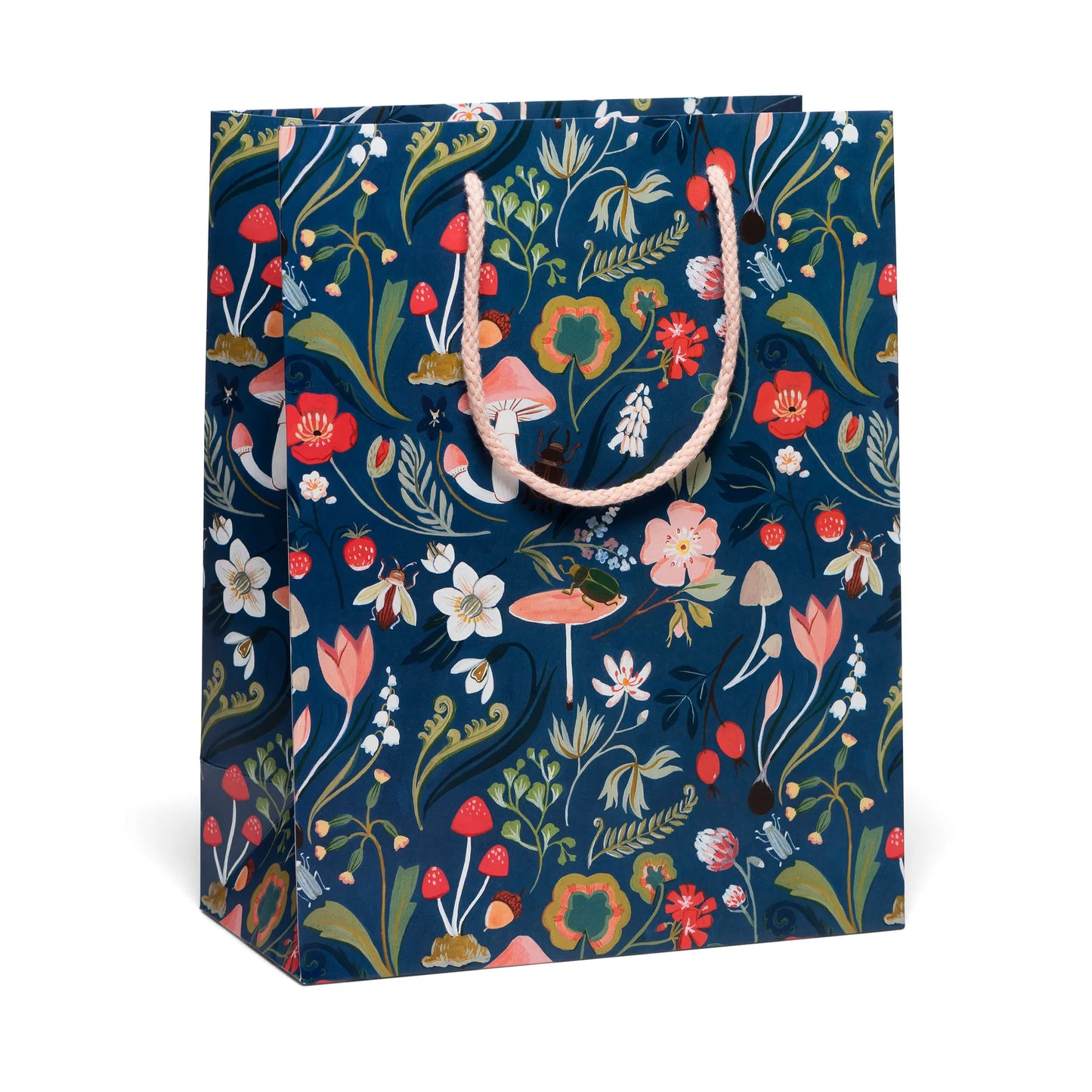 Large Gift Bag