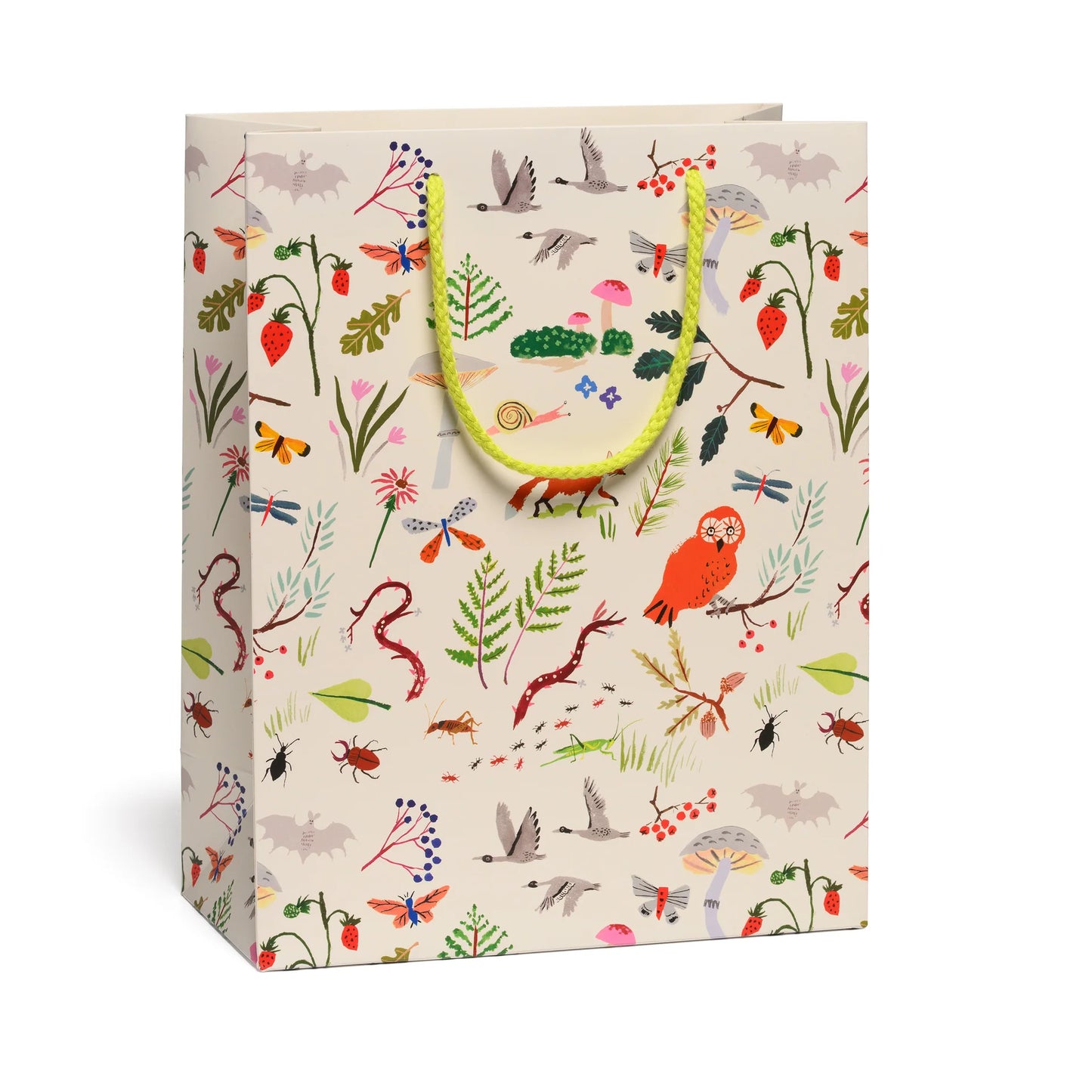 Large Gift Bag