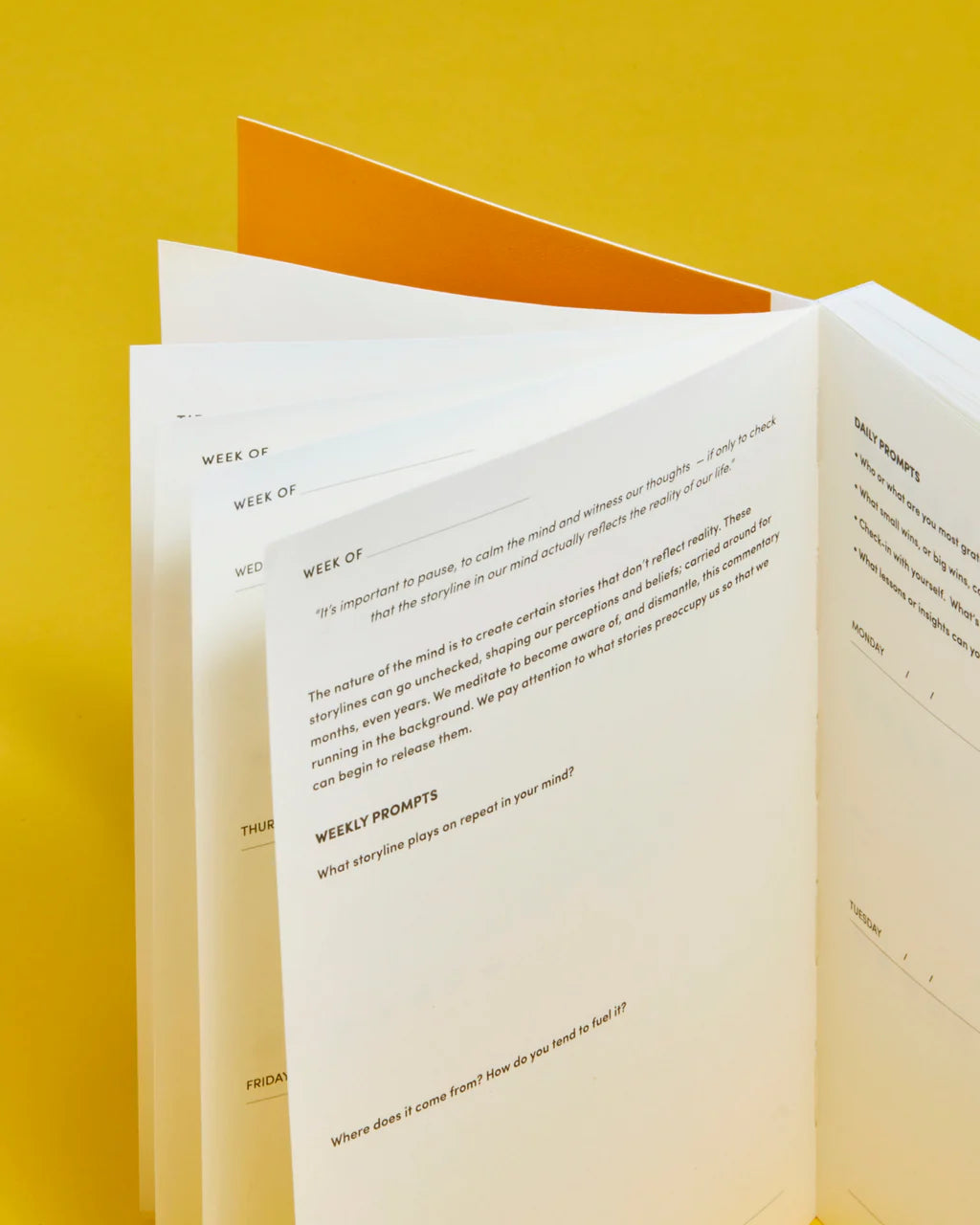 Love Your Mind Journal