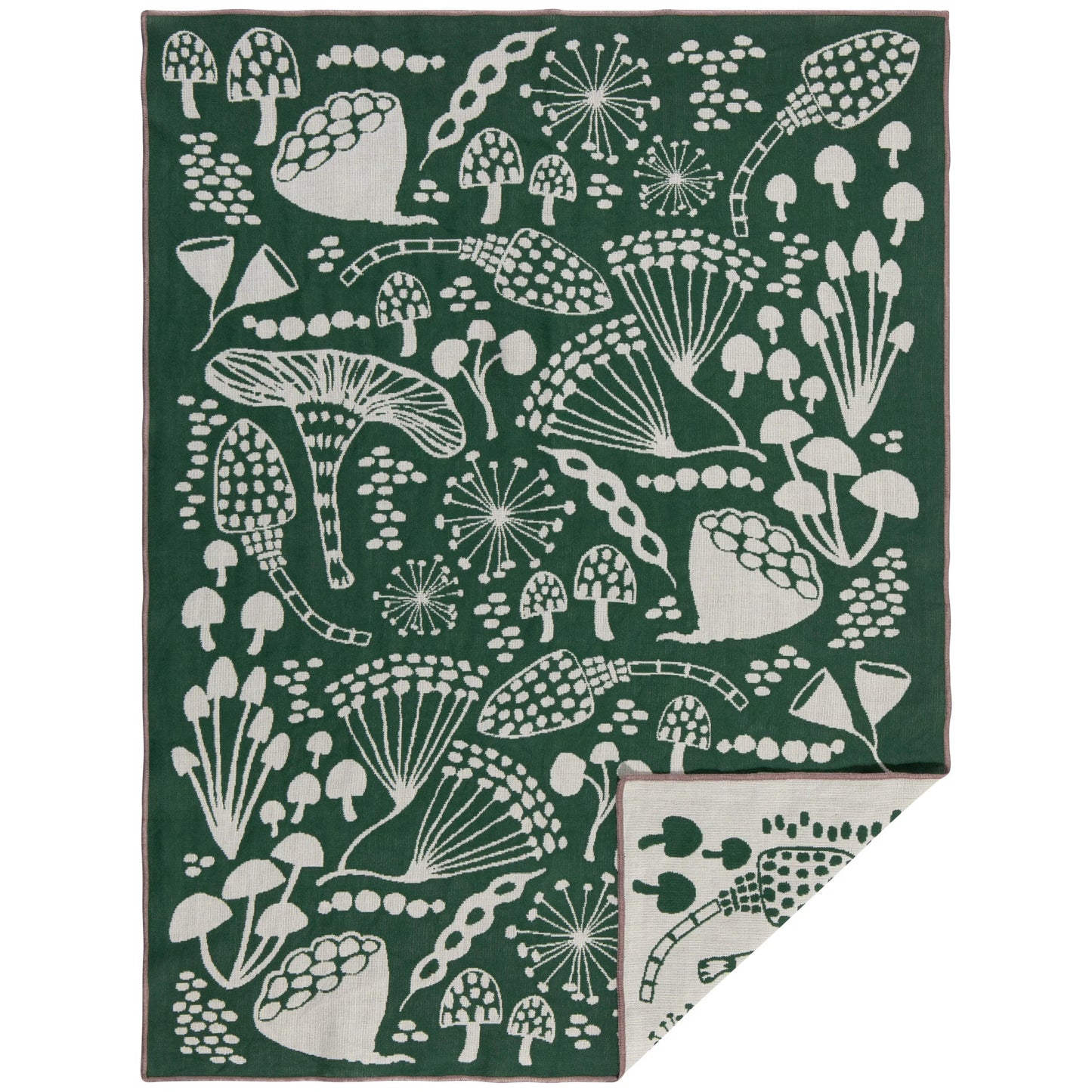 Double Cloth Dishtowel