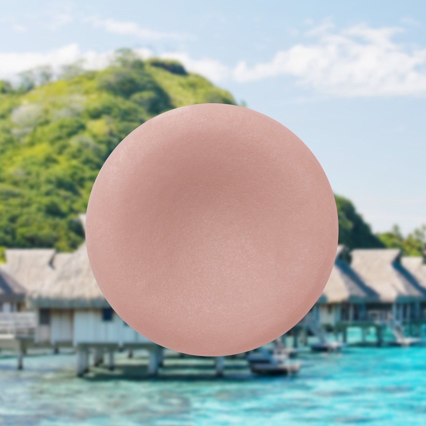 Shampoo + Conditioner Bars