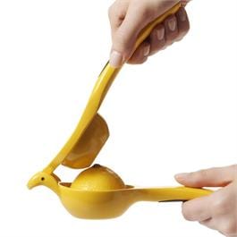 Oxo Kitchen Tools & Utensils Citrus Juicer