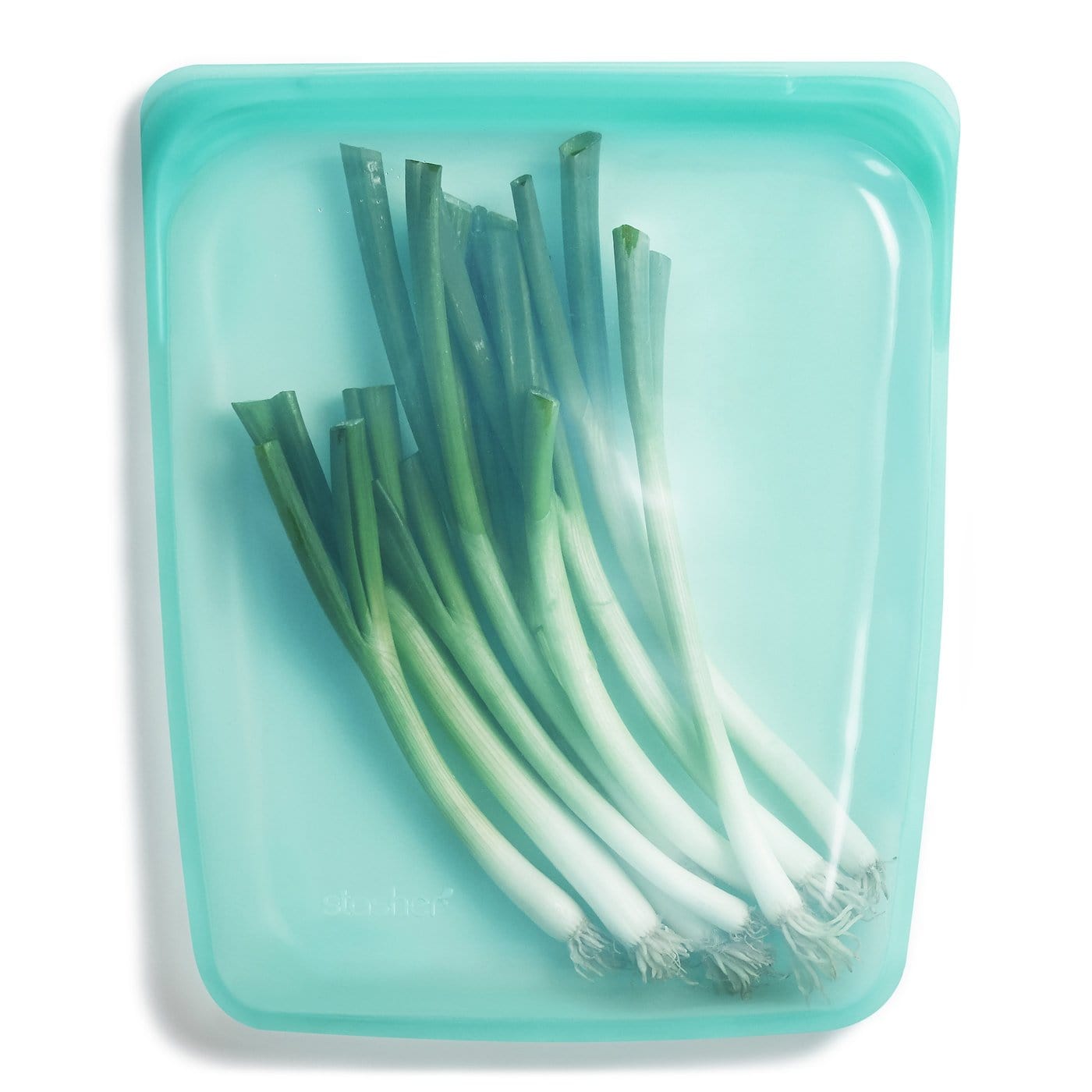 The-Unmediocre-Store-Stasher-Aqua-Silicone-Half-Gallon-Bag