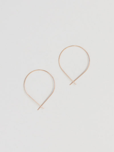 Fish Wire Earrings