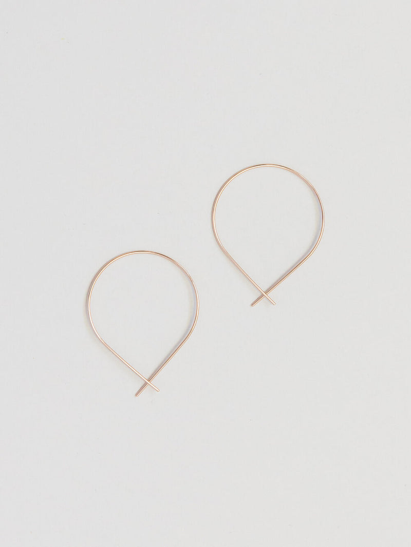 Fish Wire Earrings