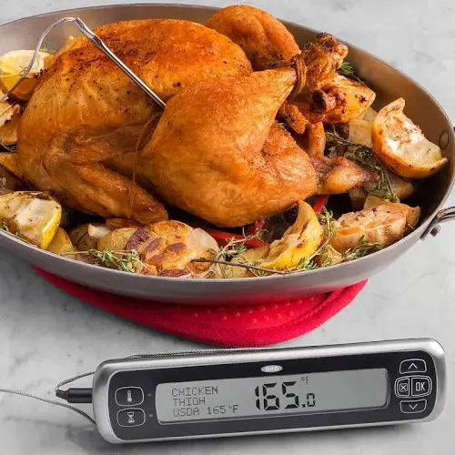 Digital Leave-in Thermometer