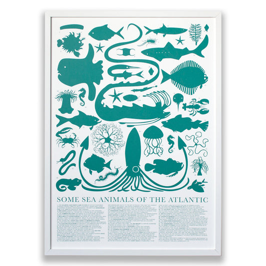 Some Sea Animals of the Atlantic Screenprint