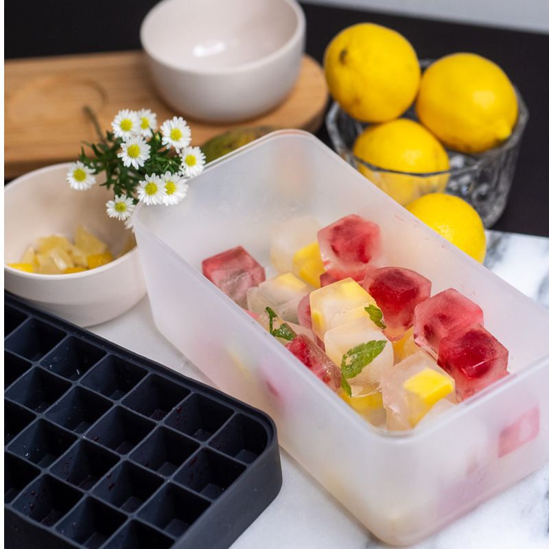 Peak Ice Cube Box & Tray Set