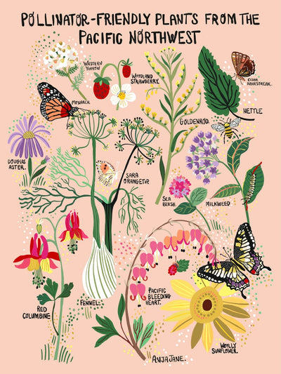 Anja Jane Decor Pollinator-Friendly Plants Prints by Anja Jane