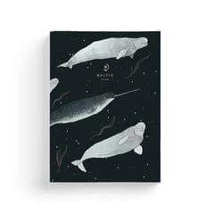 The-Unmediocre-Store-Baltic-Club-The-Belugas-Notebook