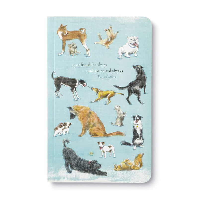 Compendium Notebooks Our friend for always Write Now Journal