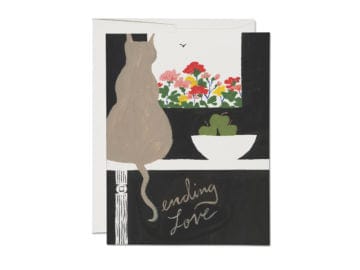 Red Cap greeting cards Sending Love Cat Box of 8 Cards