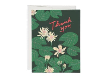 Red Cap greeting cards Water Lilies Box of 8 Cards